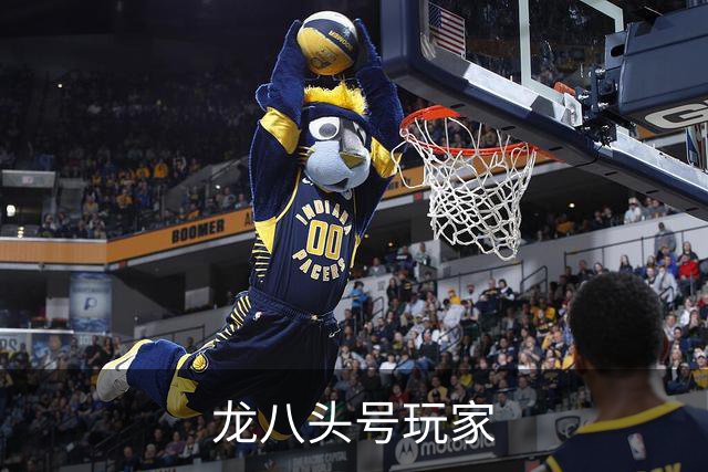 龙八头号玩家公司简介配图